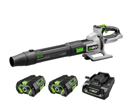 Cordless Blower + 2 Batteries 880 CFM